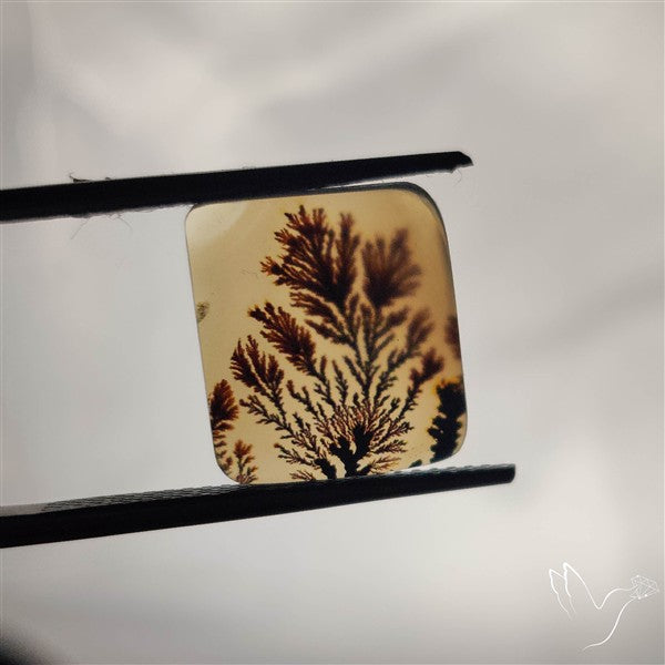 Scenic Agate Cabochon