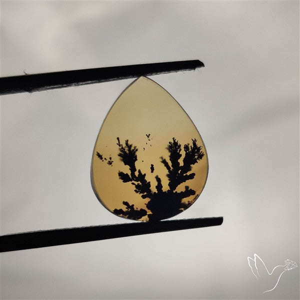 Scenic Agate Cabochon