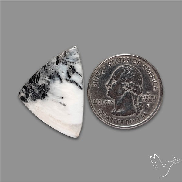 White Buffalo Turquoise Cabochon