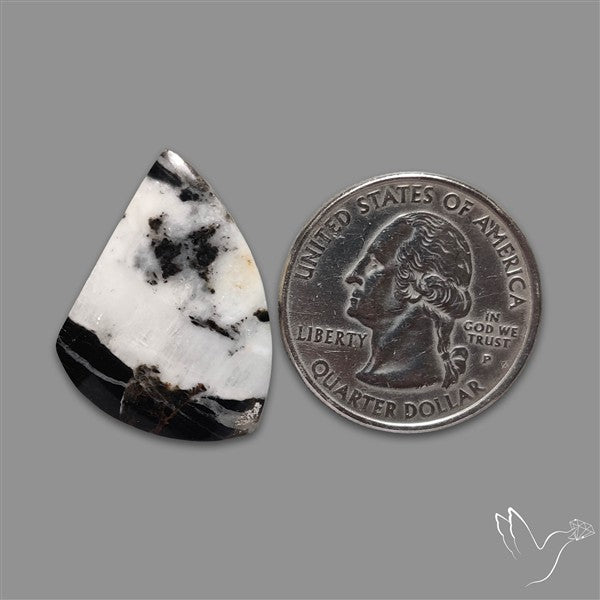 White Buffalo Turquoise Cabochon