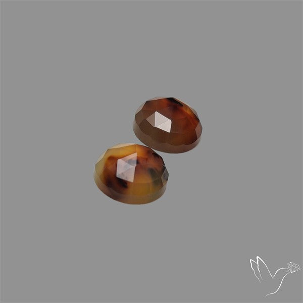 Montana Agate Pair