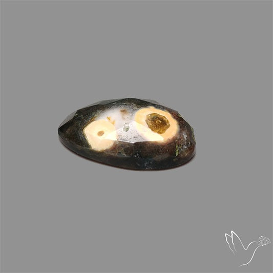 Rose Cut Orbicular Ocean Jasper