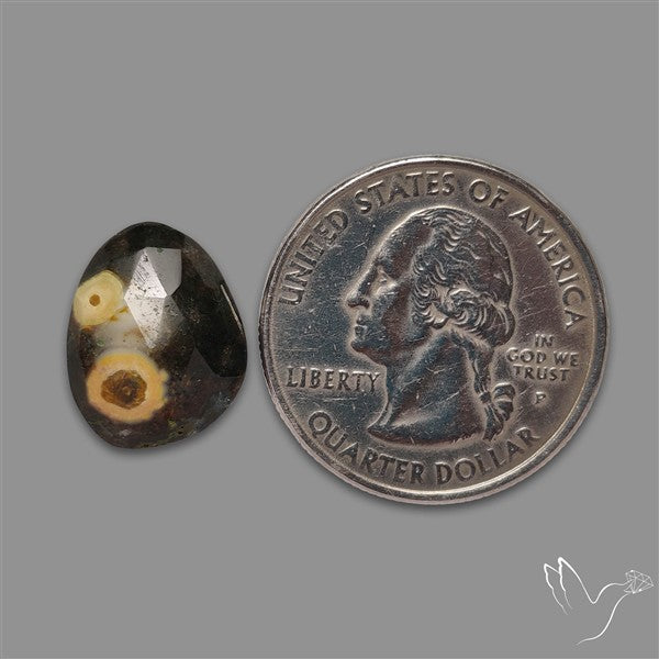 Rose Cut Orbicular Ocean Jasper