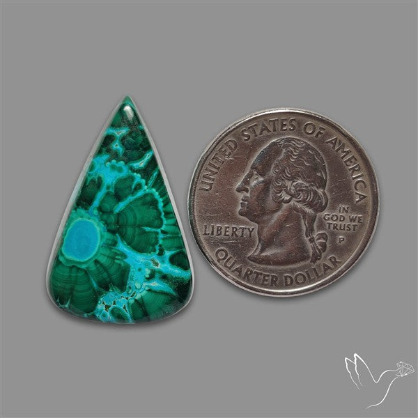 Chrysocolla In Malachite Cabochon
