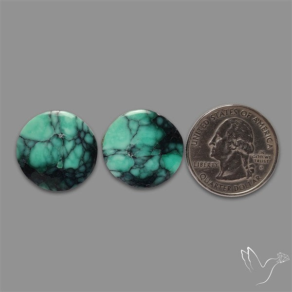 Rare Black Bridge Variscite Pair