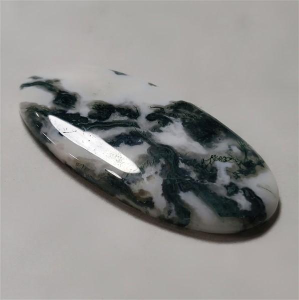 Agate|Tree Agate
