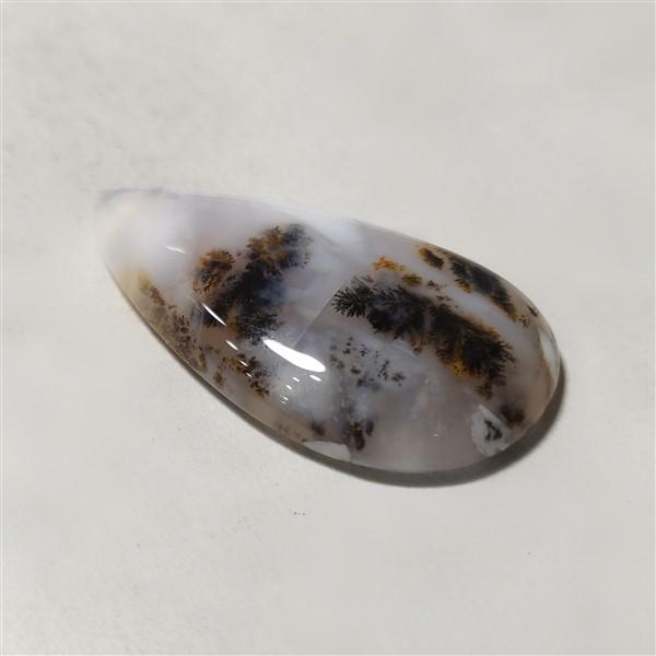 Agate|Dendritic Agate