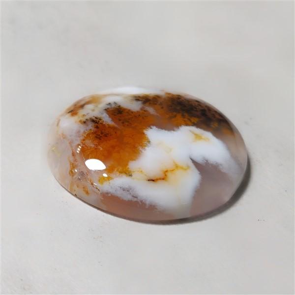 Agate|Dendritic Agate
