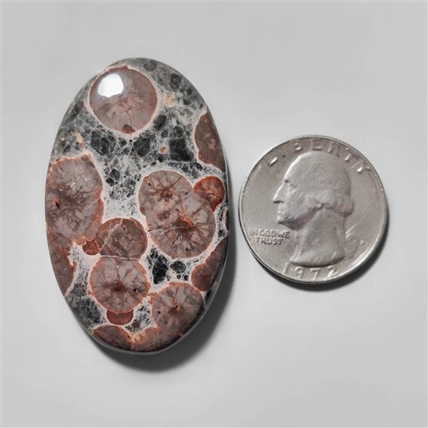 Obsidian|Peanut Obsidian