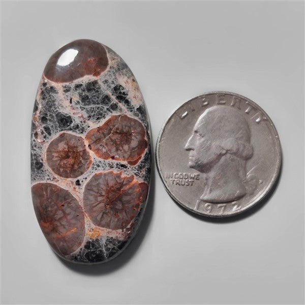 Obsidian|Peanut Obsidian