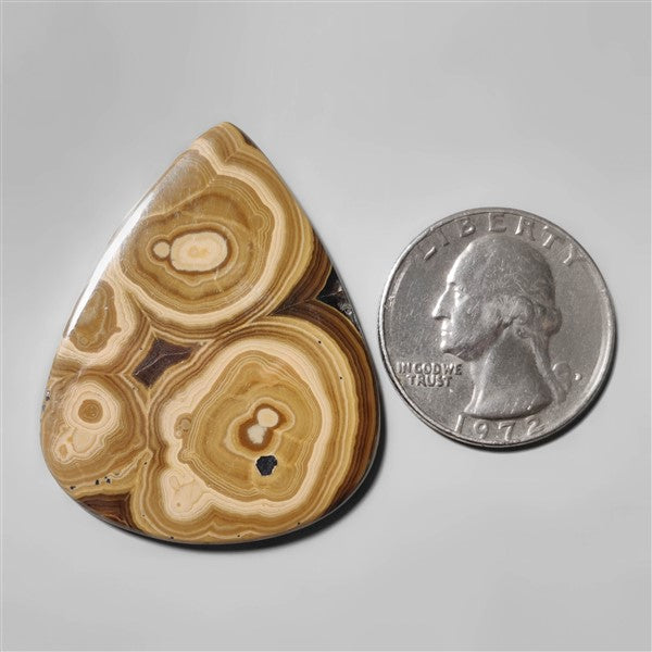 Schalenblende