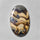 Schalenblende