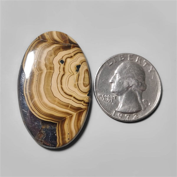 Schalenblende