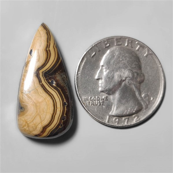 Schalenblende