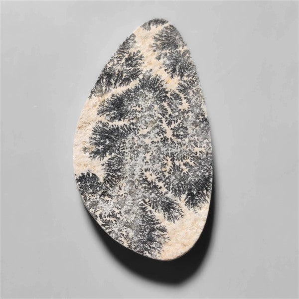 Dendritic Agate