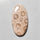 Fossil Coral