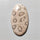 Fossil Coral