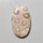 Fossil Coral
