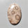 Fossil Coral