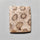 Fossil Coral