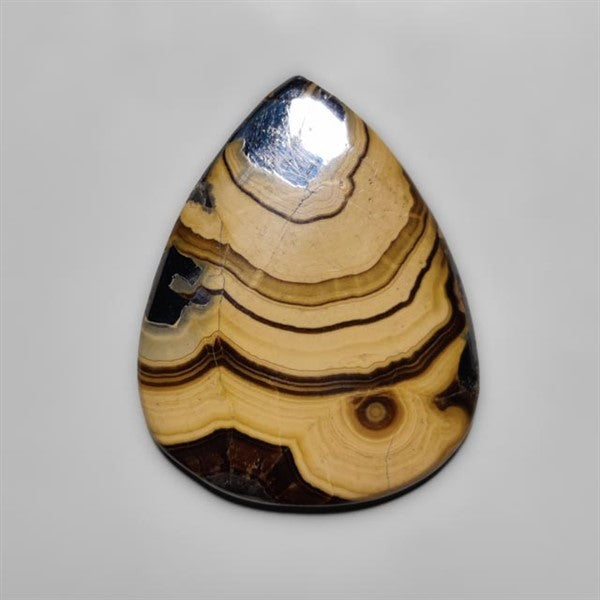 Schalenblende