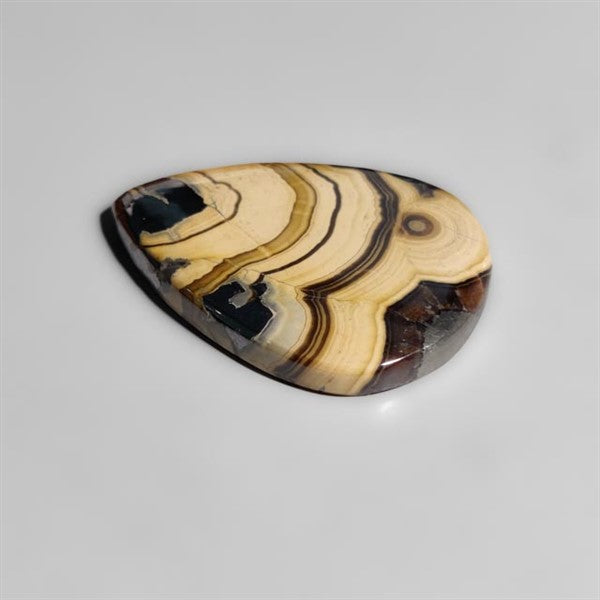 Schalenblende