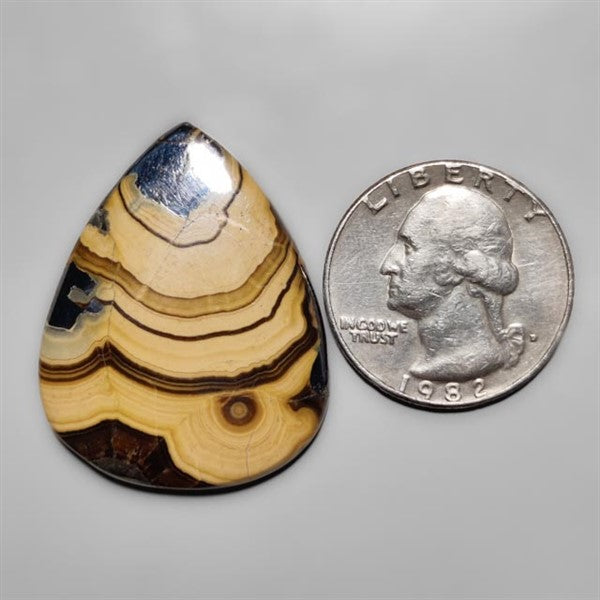 Schalenblende