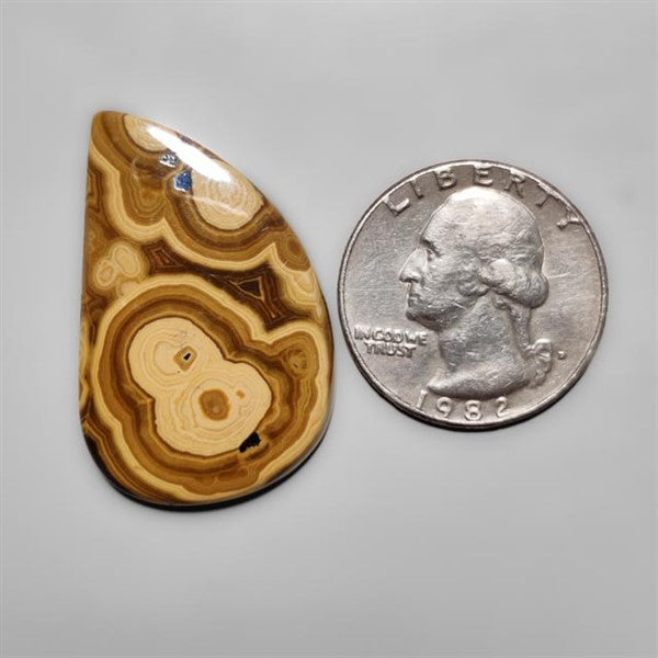 Schalenblende