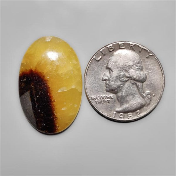 Yellow Septarian