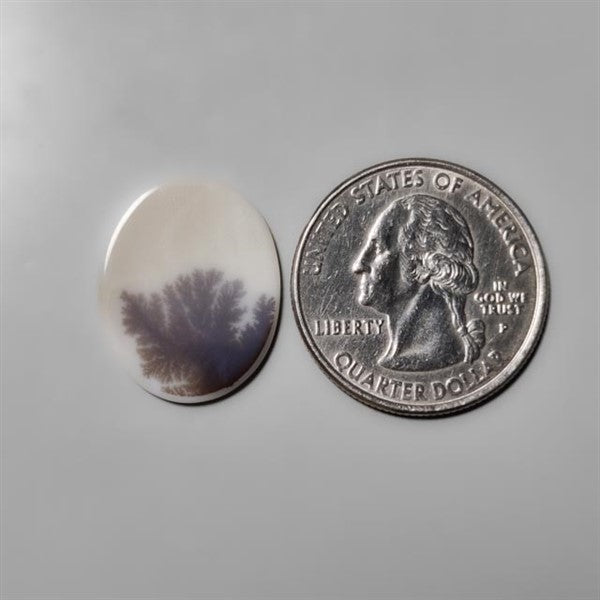 Scenic Agate