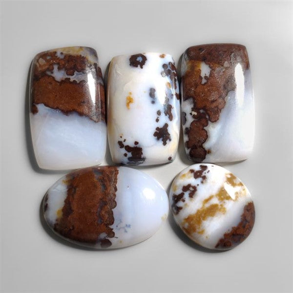 Polka Dot Agate