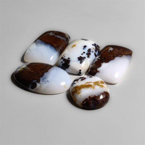 Polka Dot Agate
