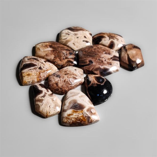 Indonesian Palmroot Agates Lot