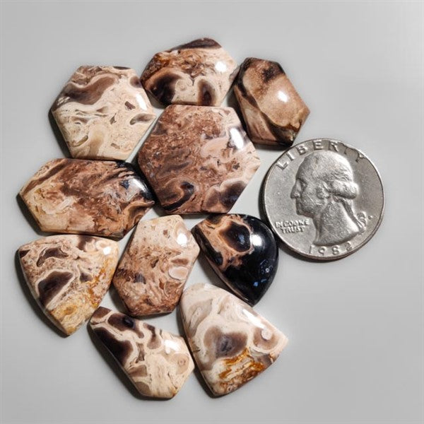 Indonesian Palmroot Agates Lot