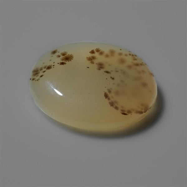 Agate|Dendritic Agate