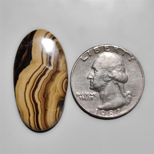 Schalenblende