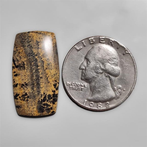 Sagebrush Jasper Cabochon