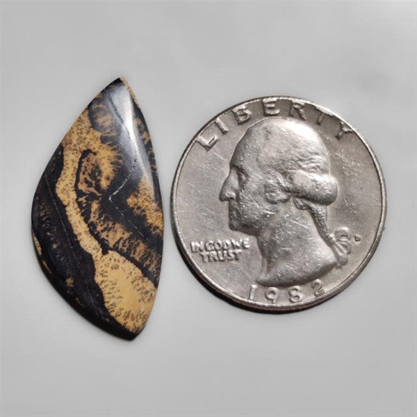 Sagebrush Jasper Cabochon