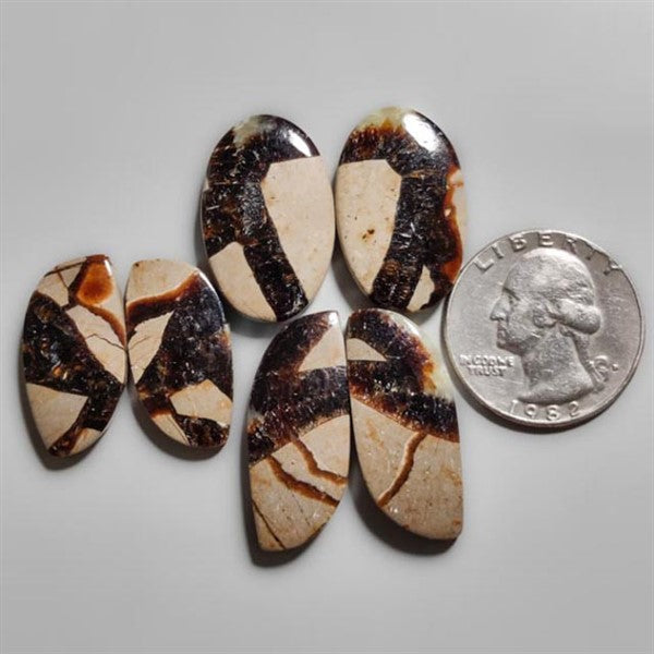 Septarian