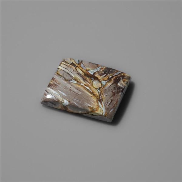 Fossilized Indonesian Palm Root