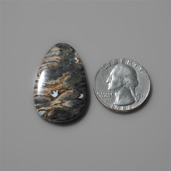 Fossilized Indonesian Palm Root