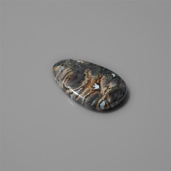 Fossilized Indonesian Palm Root