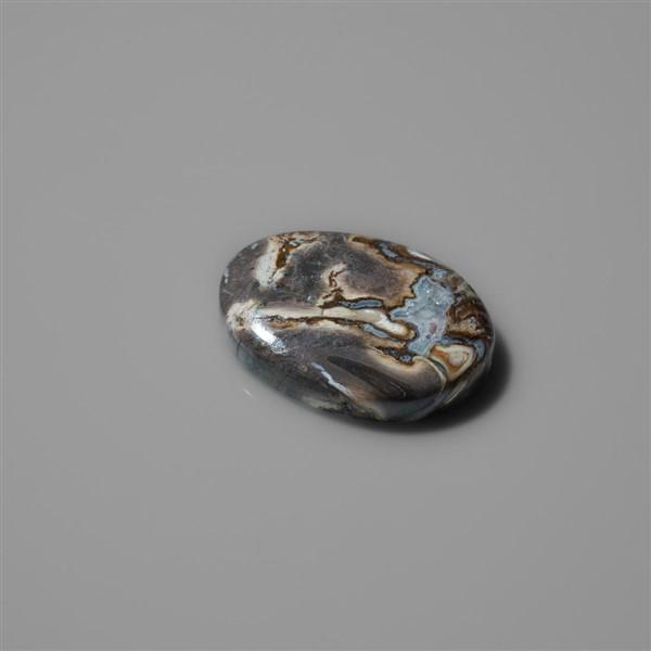 Fossilized Indonesian Palm Root