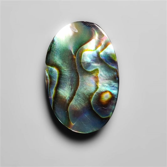 Abalone Shell