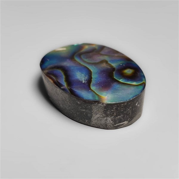 Abalone Shell