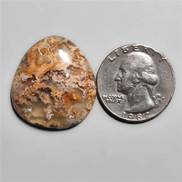 Plume Agate