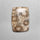 Fossil Coral