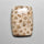 Fossil Coral