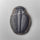 Trilobite Fossil