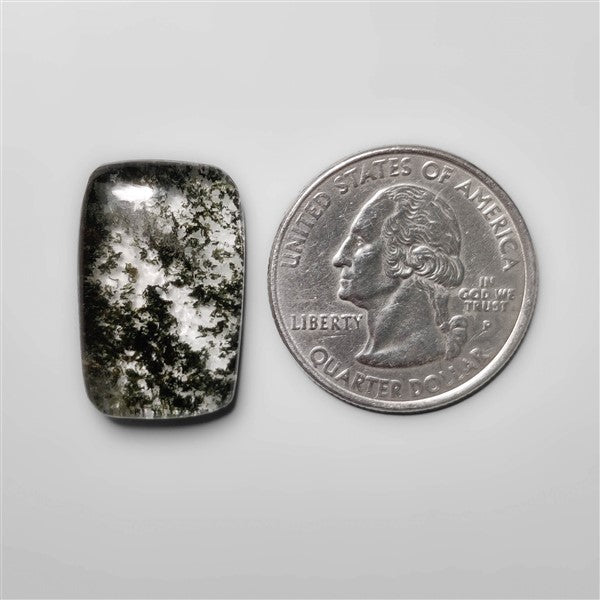 Lodolite